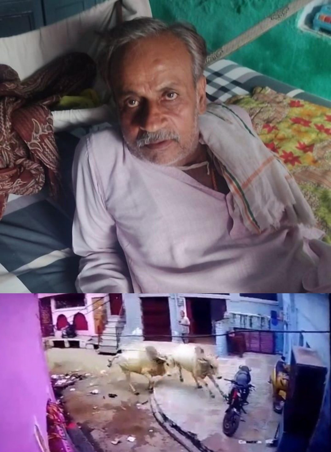 दो सांडों की लड़ाई से मची भगदड़, एक घायल